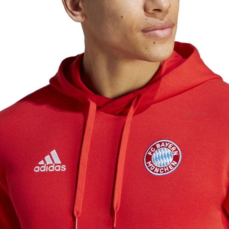 image-adidas FC Bayern Dna Hoodie M HY3291