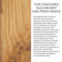 image-The Venice case - The Lion of St. Marco with the lettering