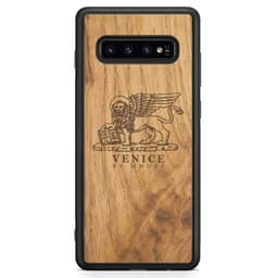 image-The Venice case - The Lion of St. Marco with the lettering