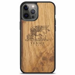 image-The Venice case - The Lion of St. Marco with the lettering