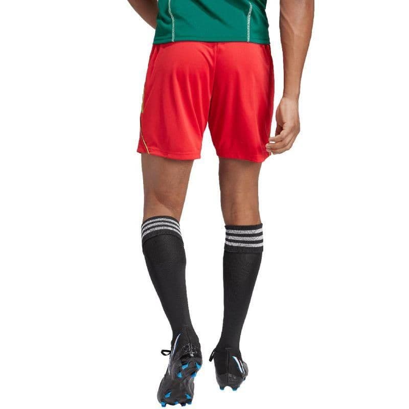 image-Shorts adidas Tiro 23 League M IB8090