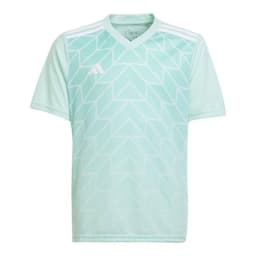 image-Adidas Team Icon 23 Jr T-shirt IC1255