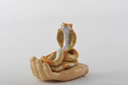 image-Zodiac Snake Laying on Hand