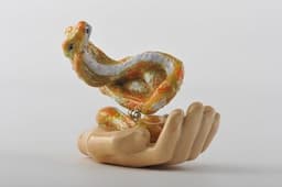image-Zodiac Snake Laying on Hand