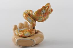 image-Zodiac Snake Laying on Hand