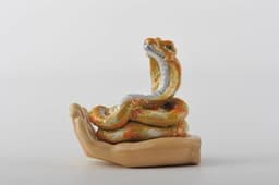 image-Zodiac Snake Laying on Hand