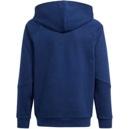 image-Adidas Tiro 24 Sweat Hoodie Jr IR7504