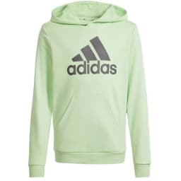 image-Adidas Big Logo Hoodie Jr IS2591 sweatshirt