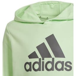 image-Adidas Big Logo Hoodie Jr IS2591 sweatshirt