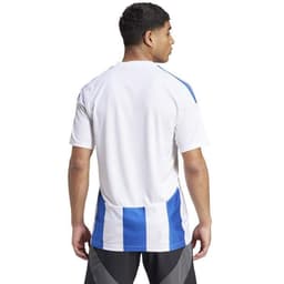 image-Adidas Striped 24 JSY M T-shirt IW2144