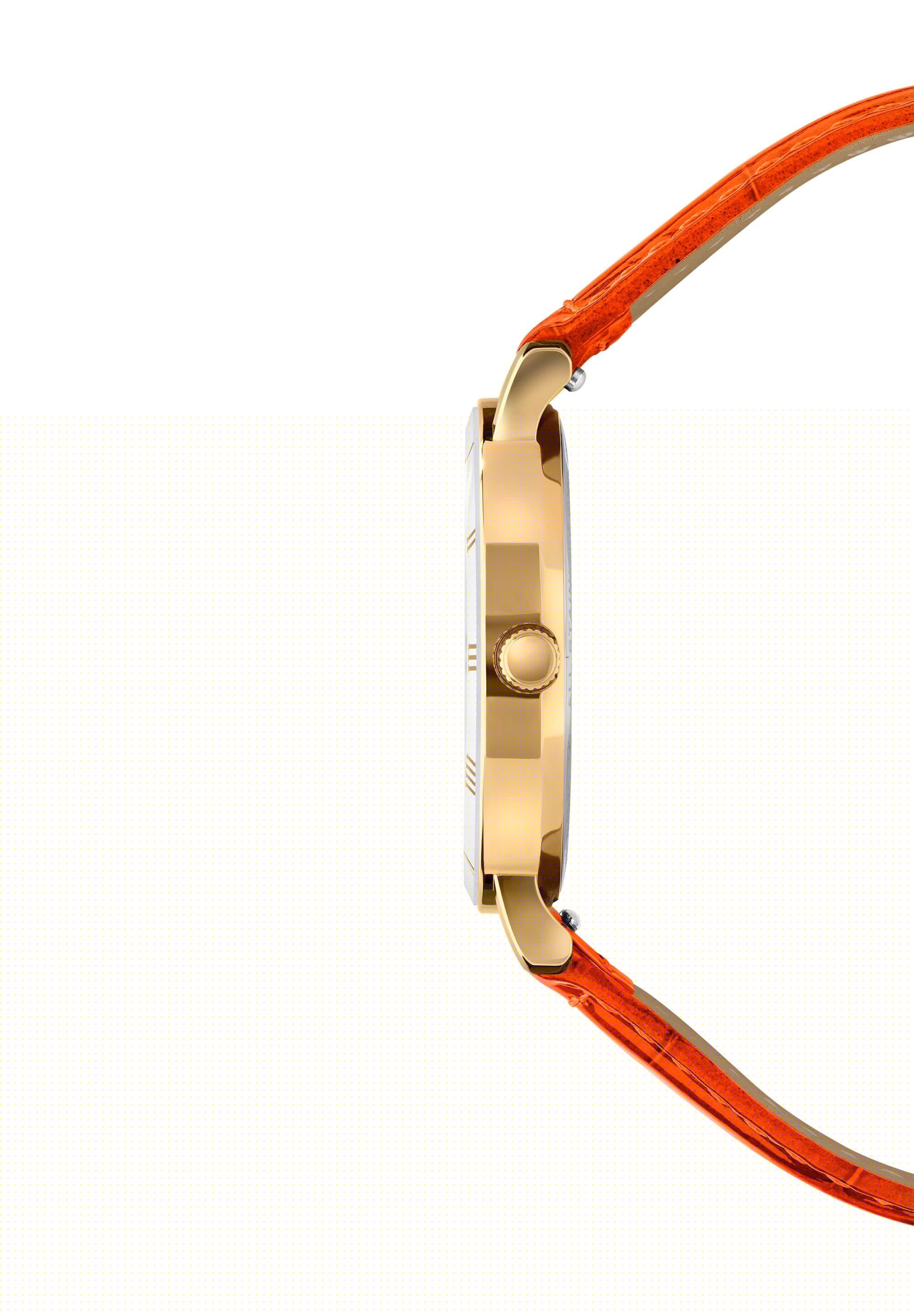 image-Roma Swiss Ladies Watch J2.278.M