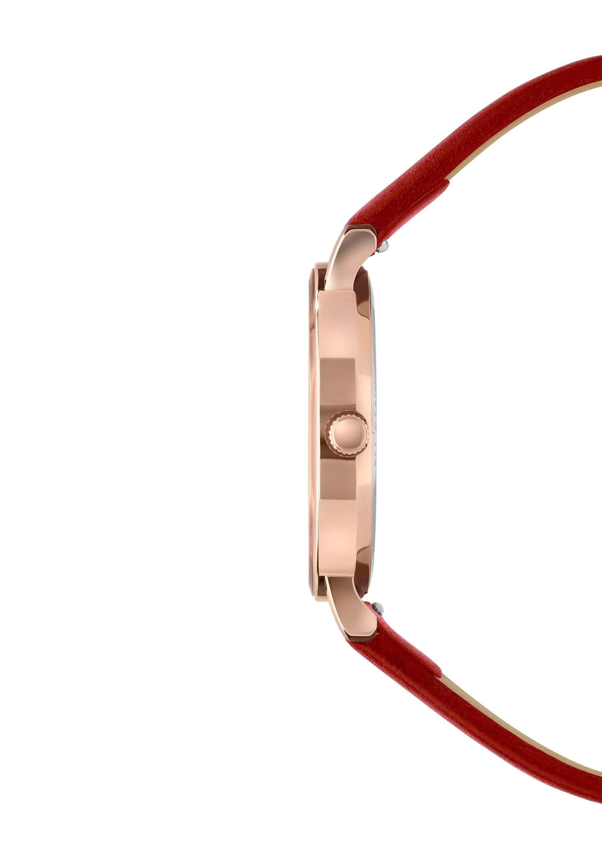 image-AnWy Swiss Ladies Watch J6.224.M