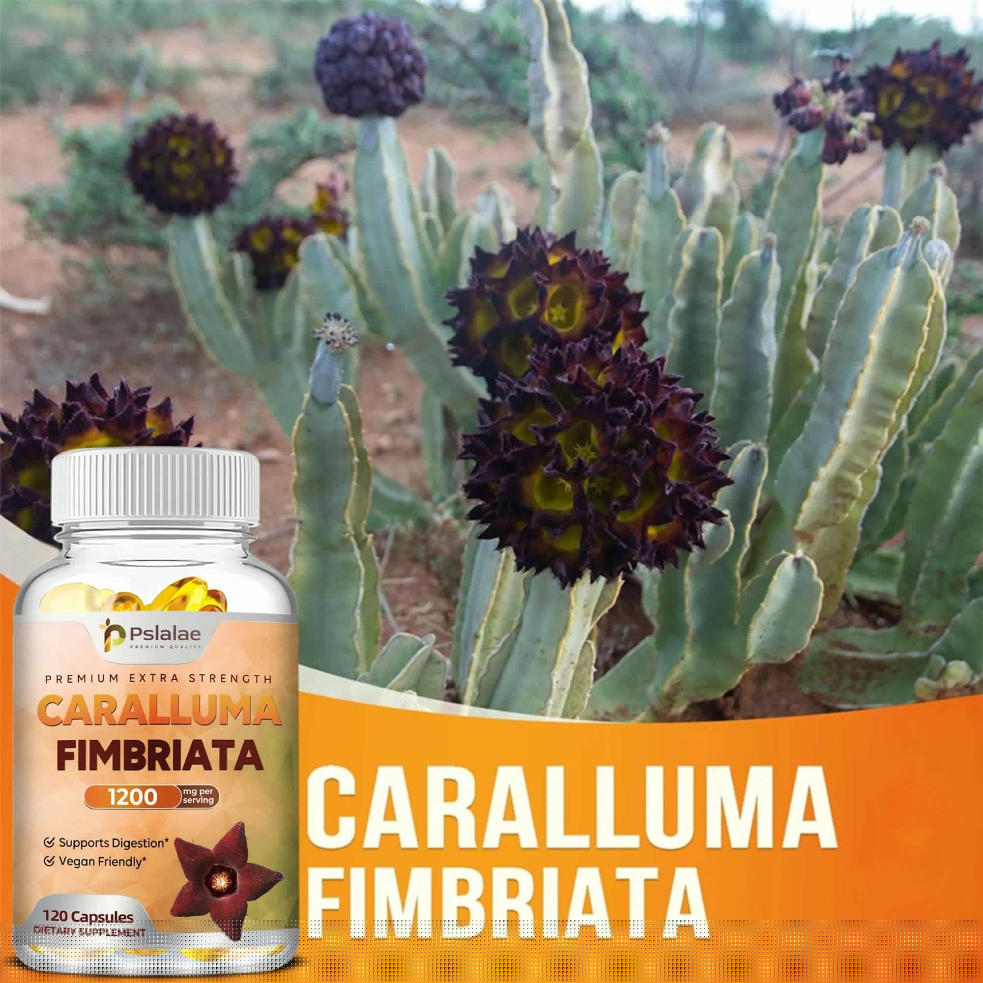 image-Caralluma Fimbriata Capsules - Improves Endurance, Improves Concentration, Boosts Metabolism, Immune Support - 120 Capsules