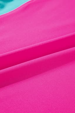image-Strawberry Pink Color Block Detail Casual Two-piece Set