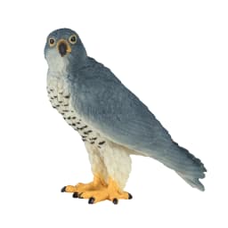 image-Peregrine Falcon Toy Realistic Bird of Prey Model
