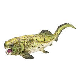 image-Dunkleosteus Toy Realistic Prehistoric Fish Figurine
