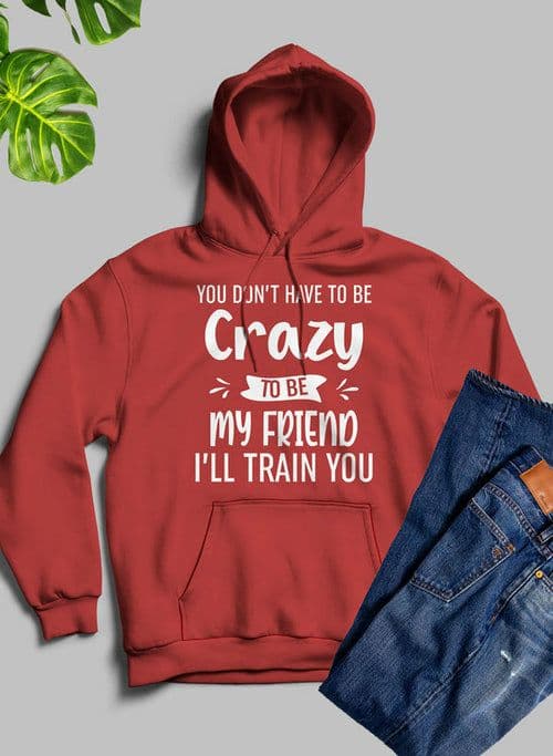 image-You Dont Have To Be Crazy To Be My Friend Ill Train You Hoodie