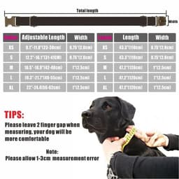image-Personalized Dog Collar Customized Pet Collars Free Engraving ID Nameplate Tag Pet Accessory Suit Fiber Puppy Collars Leash