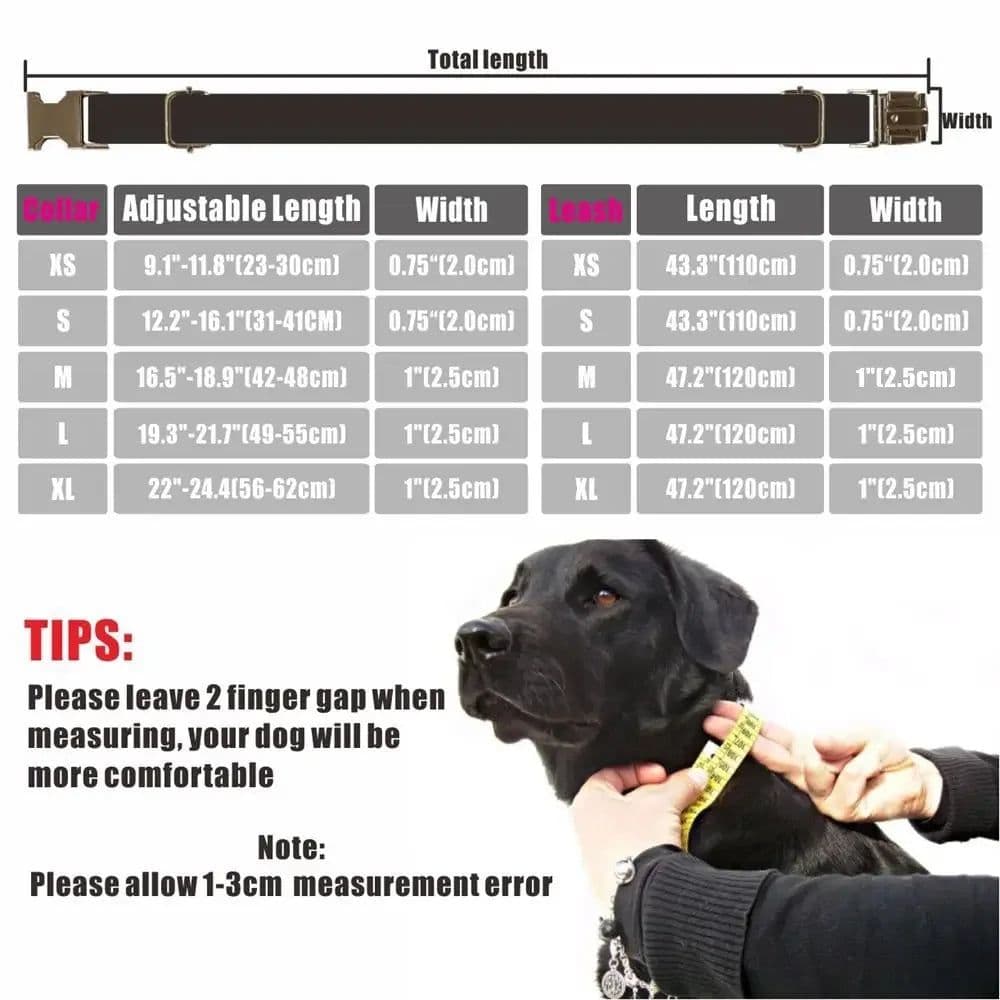 image-Personalized Dog Collar Customized Pet Collars Free Engraving ID Nameplate Tag Pet Accessory Suit Fiber Puppy Collars Leash