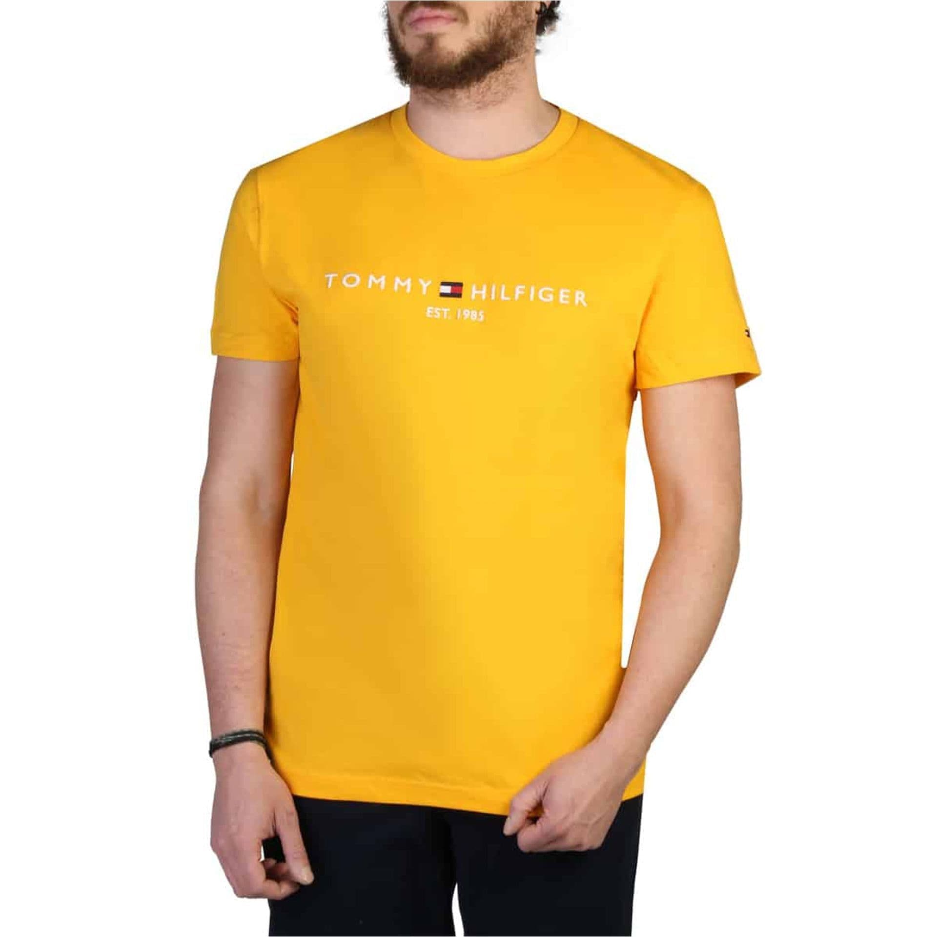image-Tommy Hilfiger T-shirts