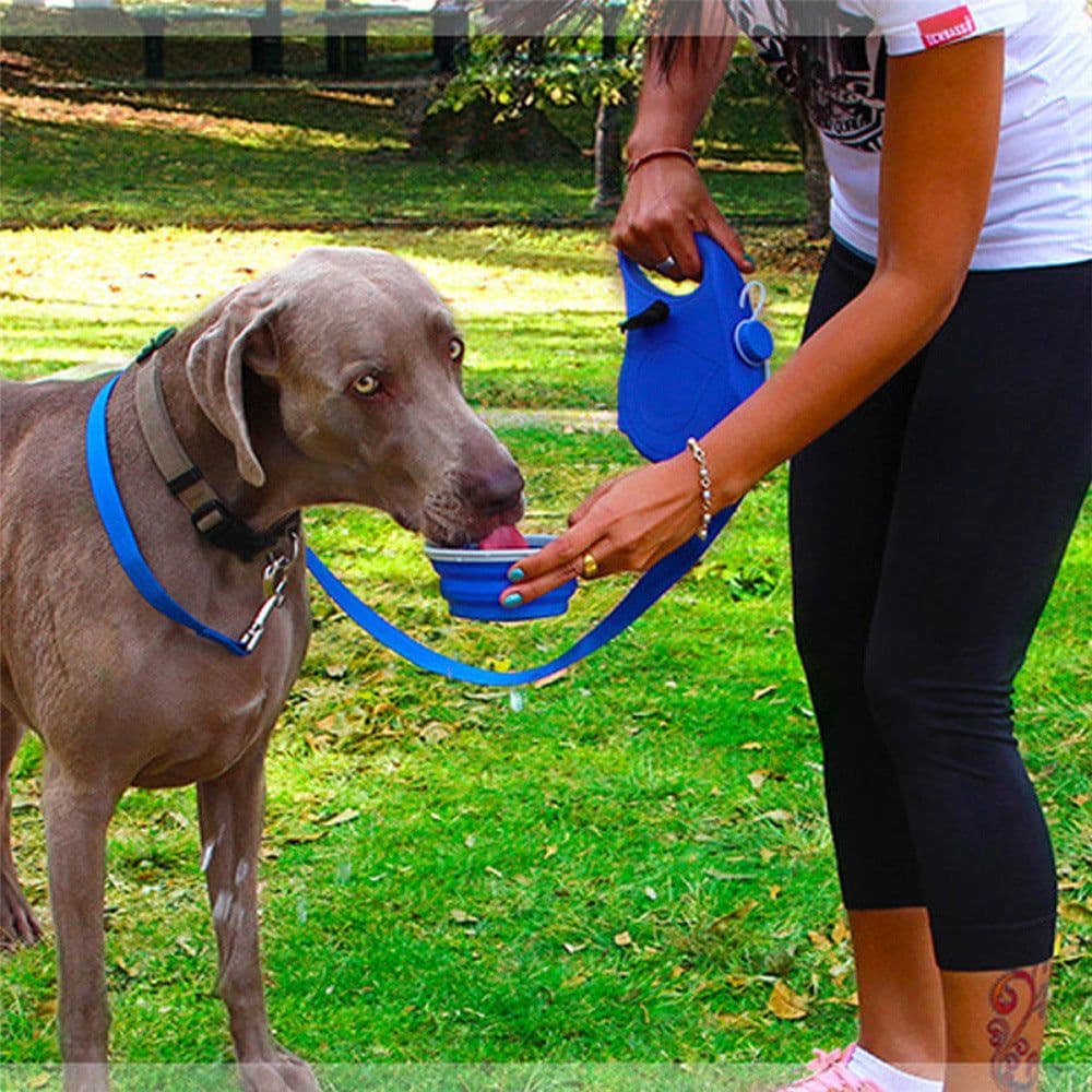 image-Pet Leash with Built-in Water Bottle - Blue ABS 3-in-1