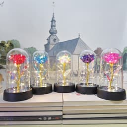 image-Gold Foil Rose in Glass Dome - Preserved Flower Decor