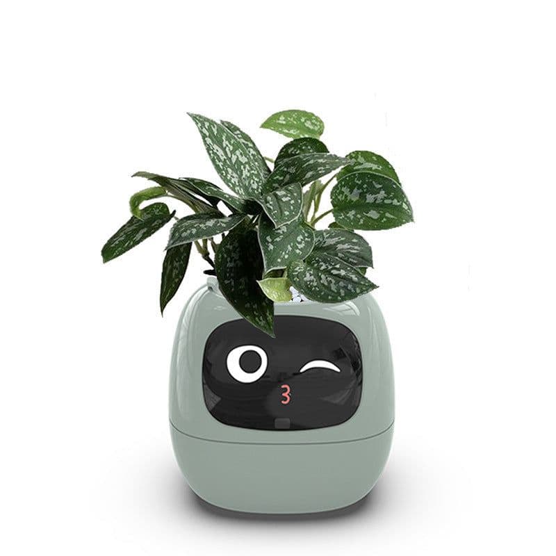image-Autonomy Plastic Flower Pot - Pink 20cm