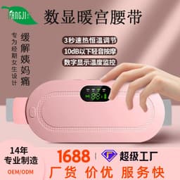image-Liangji Electric Heating Belt - Infrared Therapy Waist Massager