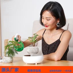 image-Creative magnetic levitation imitation ceramic flowerpot office personality desktop living room decoration balcony succulent potted planting decoration
