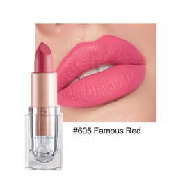 image-HANDAIYAN 12 Color Matte Lipstick Set