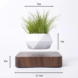 image-Magnetic Levitation Potted Plant