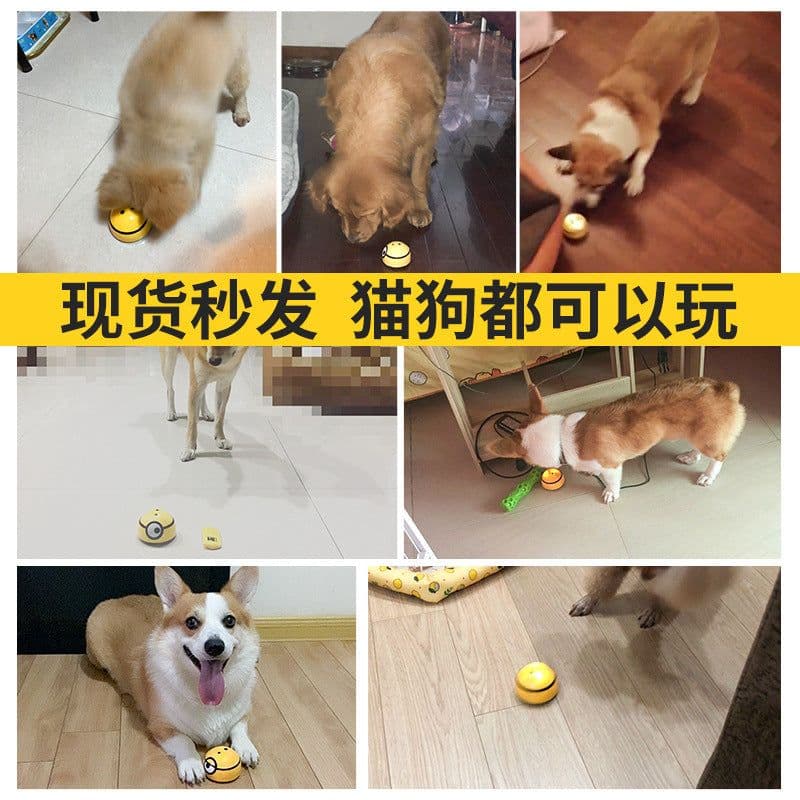 image-Minions Sound Making Dog Toy, Plastic, Rampage 25K