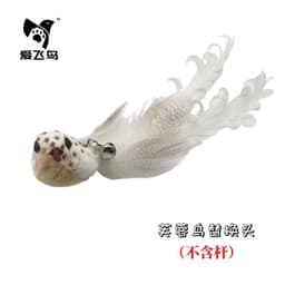 image-Cat Teaser Toy - Colorful Feather Bird Steel Wire Rod