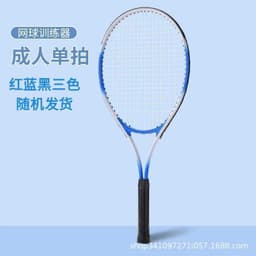 image-Tennis Training Device Single Player Rebound