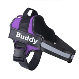 image-OUQIPETE Dog Chest Harness Leash - Purple XXL