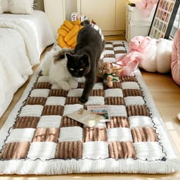 image-Foreign trade thickened ins wind cream color autumn and winter plush bedside mat non-slip rectangular bun mat tatami mat