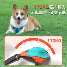 image-Dog Chest Harness Retractable Leash - Large