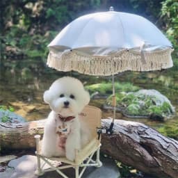 image-INS explosive lace bohemian children's outdoor stroller parasol baby beach sun protection UV umbrella