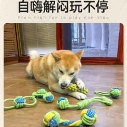 image-Cotton Rope Dog Toy Set - Teeth Cleaning Knot Toys