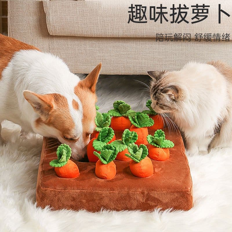 image-Dog Toy Pulling Carrot - Harvest Carrot