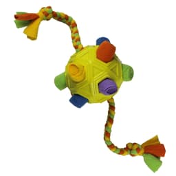 image-Sniffing Ball Dog Toy - Rainbow TPR Rubber Fleece