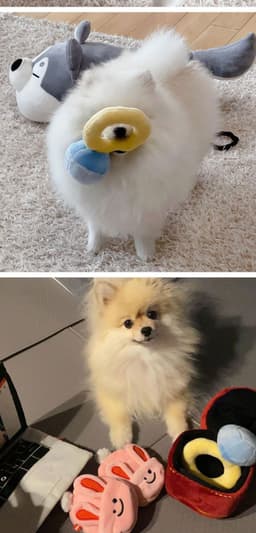 image-Ins Korean diamond ring set dog vocal toy pet Tibetan food toy foreign trade original single pets
