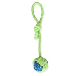 image-Cotton Rope Dog Toy Set - Teeth Cleaning Knot Toys