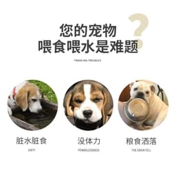 image-Silicone Pet Bowl - Cat Dog Anti-Spill Stainless Steel Double Bowl Placemat