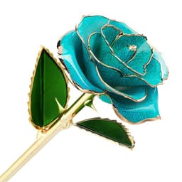 image-Cross-border export 24K gold-plated rose paint flower with gift box Valentine's Day gift factory wholesale