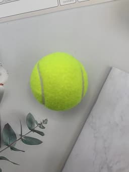 image-Elementary training tennis beginners high elasticity resistant tennis 1.3 meters elastic training tennis competition training
