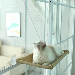 image-Pet Hammock - Suction Cup Cat Nest - Mint Green - Washable
