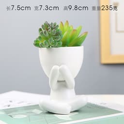 image-Sanwuxuan Nordic Ceramic Succulent Pot
