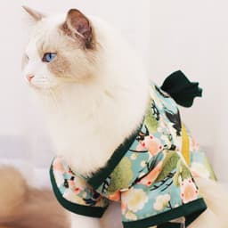 image-Gong Ziyu Blue Sakura Kimono Japanese Style Dress - Universal Size
