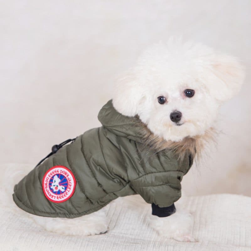 image-Pet Hooded Jacket - Dog Clothes Autumn Winter Warm